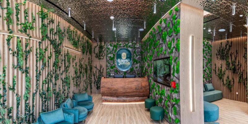 Dubai: 3hrs Wellness Experience - Key Points