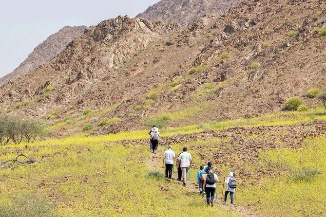Dubai: 4-Hour Adventure Trip in Hatta - Exploring Hatta’s Natural Beauty in a Compact 4-Hour Package