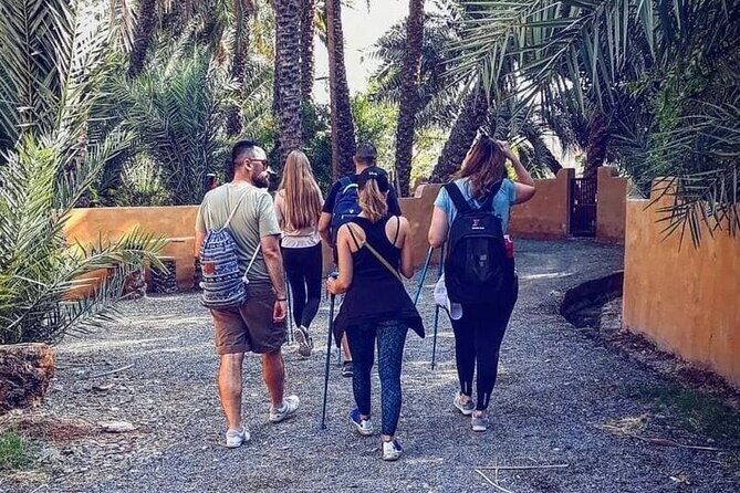 Dubai: 4-Hour Adventure Trip in Hatta - Practical Details and Considerations