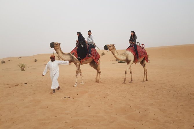 Dubai 4x4 Desert Safari, Quad Bike, Camel Ride & BBQ Dinner - What Could Be Better?