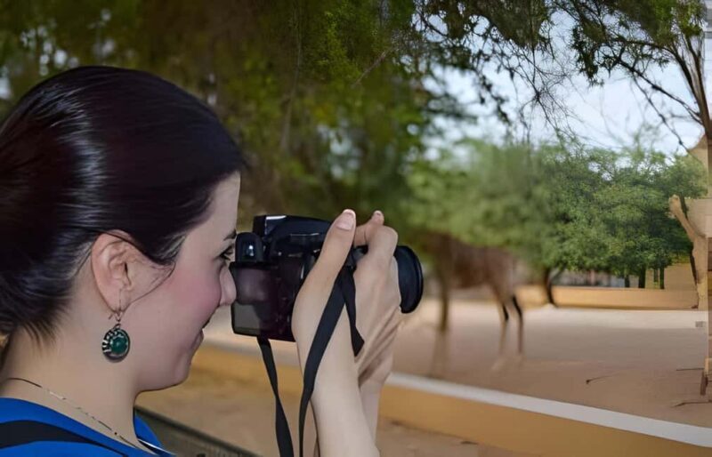 Dubai: Al Ain Garden City with Conservation Zoo - Authentic Insights from Past Travelers