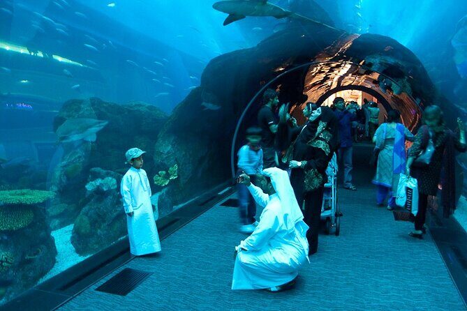 Dubai Aquarium and Underwater Zoo - Who Will Love This Tour?