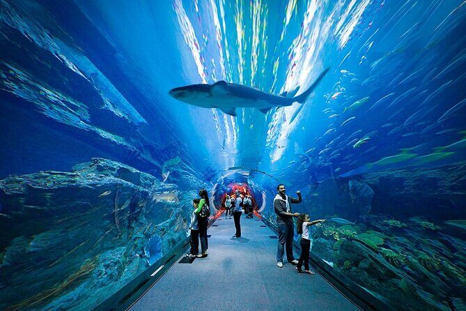 Dubai Aquarium and Underwater Zoo - FAQ