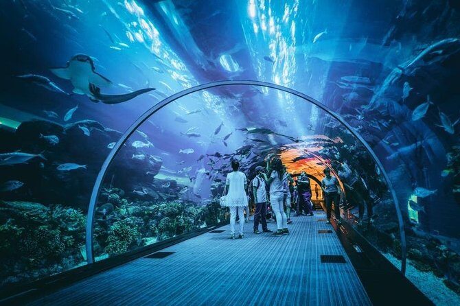 Dubai Aquarium and Underwater Zoo Admission Ticket with Options - Who Should Consider Visiting?