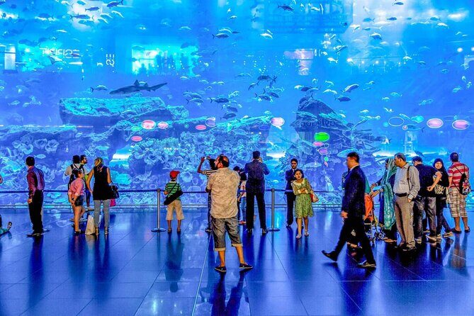 Dubai Aquarium and Underwater Zoo - Final Thoughts: Is It Worth It?