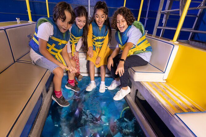 Dubai Aquarium and Underwater Zoo Entrance Ticket - A Closer Look at the Experience