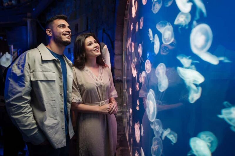 Dubai: Aquarium and Underwater Zoo Experience - Practical Tips for Visiting