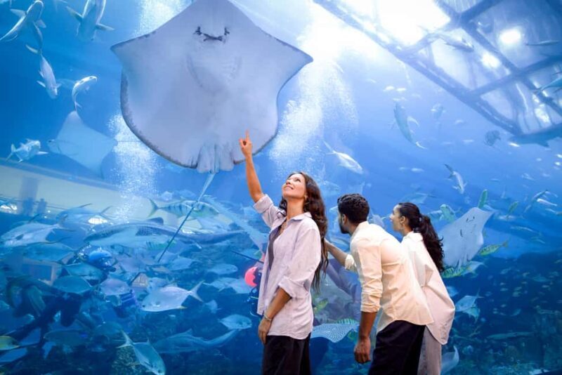 Dubai: Aquarium and Underwater Zoo Experience - FAQ