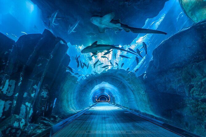 Dubai Aquarium and Underwater Zoo with Penguin Cove Tickets. - Final Thoughts