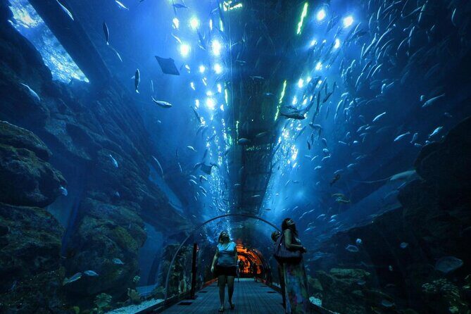 Dubai Aquarium + Penguin Cove Tickets with Transfers - Key Points