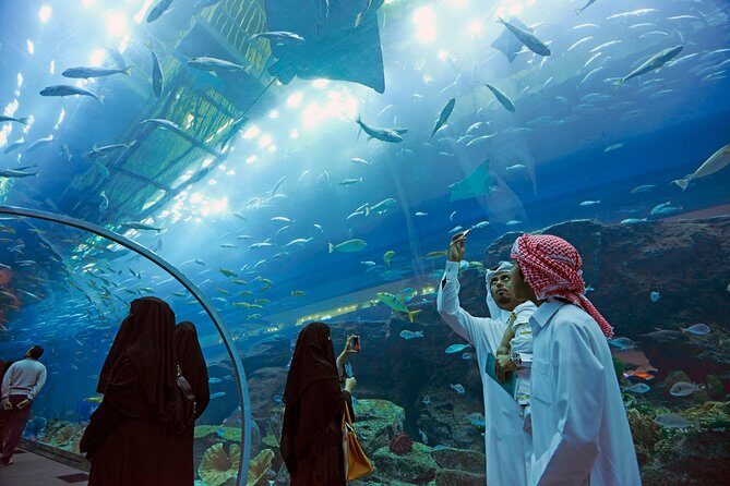 Dubai Aquarium + Penguin Cove Tickets with Transfers - What Might Not Be Perfect