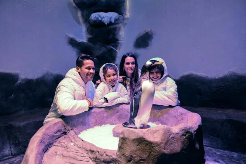 Dubai Aquarium + Sky Views Observatory Tickets - Authentic Reviews and Insights
