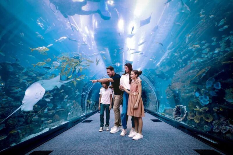 Dubai Aquarium + Sky Views Observatory Tickets - FAQ