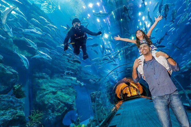 Dubai Aquarium & Underwater Zoo - Basic - The Main Attraction: Dubai Aquarium