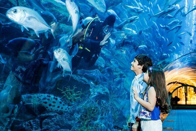 Dubai Aquarium & Underwater Zoo - A Closer Look at What to Expect