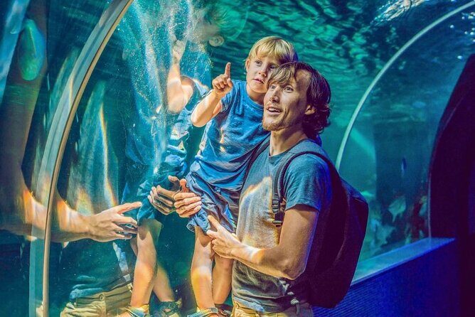 Dubai Aquarium & Underwater Zoo - FAQs