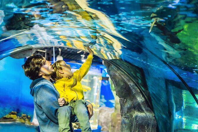 Dubai Aquarium & Underwater Zoo Entrance Ticket - In-Depth Look at the Dubai Aquarium & Underwater Zoo Experience