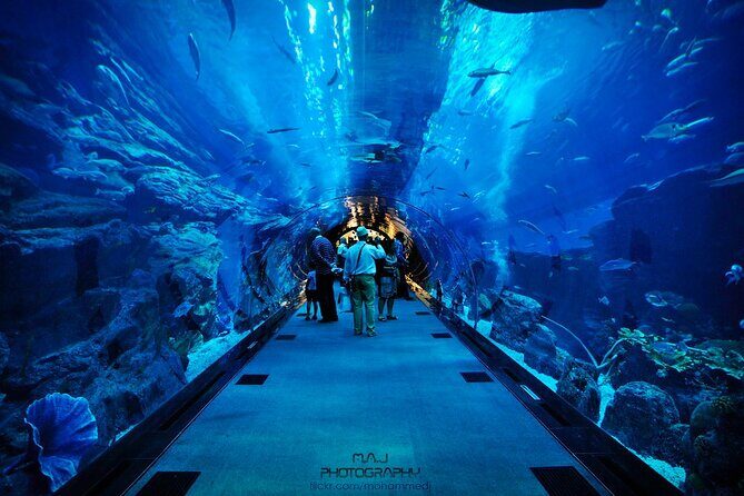 Dubai Aquarium & Underwater Zoo with Penguin Cove - FAQ
