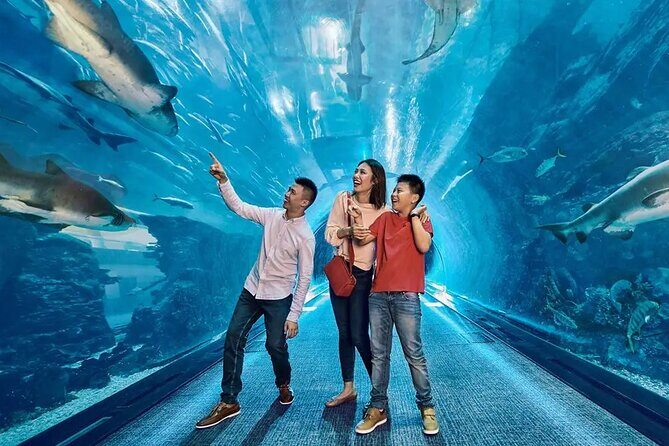 Dubai Aquarium UnderwaterZoo and Penguin cove Admission Ticket - Introduction: What You Can Expect from the Dubai Aquarium & Underwater Zoo
