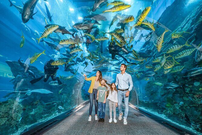 Dubai Aquarium with Various Animal Encounter and Access Options - Key Points