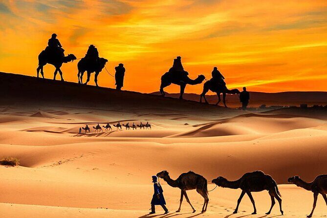 Dubai ATV Quadbike Desert Safari with Camel Ride Sand Boarding - Key Points