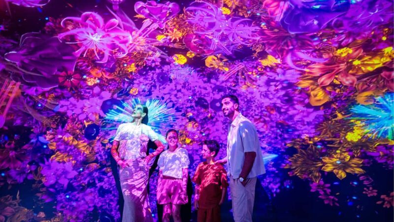 Dubai: AYA Universe Entry Ticket - The Value of the Experience