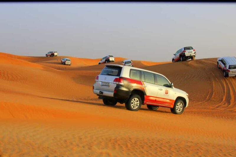 Dubai: Bedouin Camp, Dune Safari, Falcon Show & BBQ Dinner - Exploring the Dubai Desert: A Well-Rounded Adventure