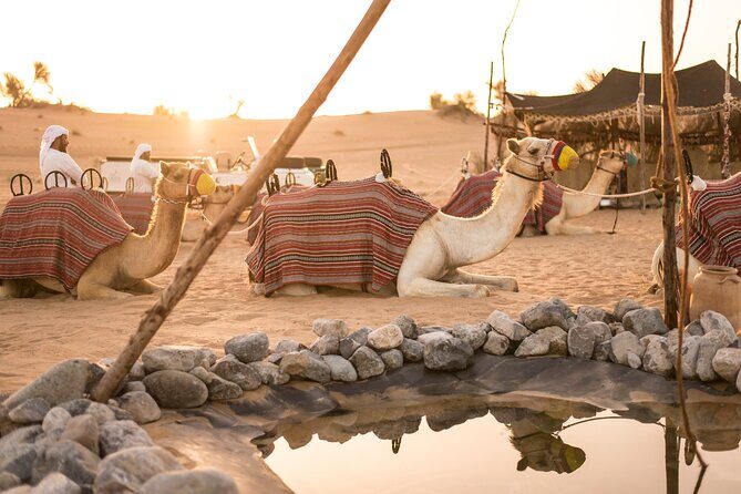Dubai: Bedouin Culture Safari - Who Will Love This Tour?