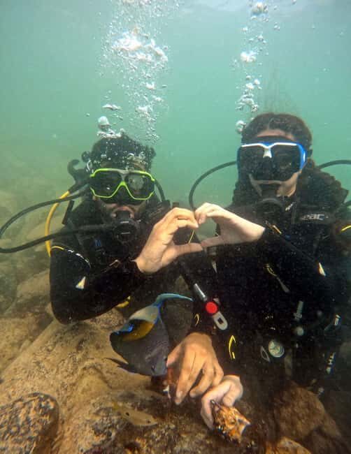 Dubai: Boat Try Scuba Diving Experience with Hotel Transfer - Key Points