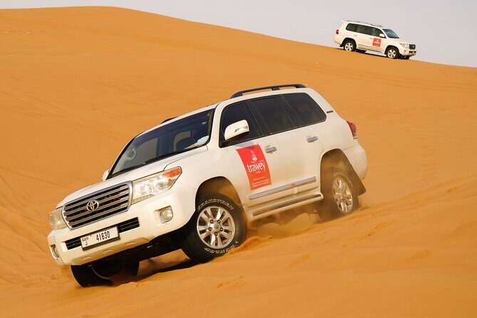 Dubai Buggy Tour in red sands and Desert Safari - Practical Tips for Booking and Enjoying