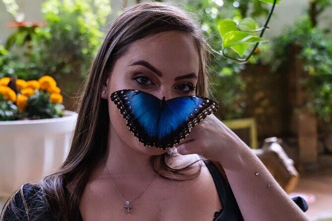 Dubai Butterfly Garden Entry Ticket - How the Experience Is Structured