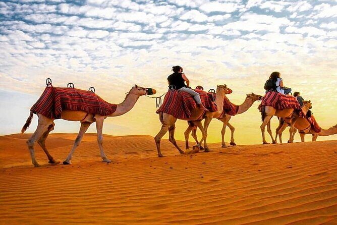 Dubai Camel Caravan with BBQ Dinner Buffet - FAQ