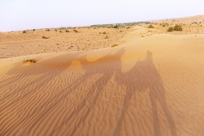 Dubai Camel Desert Safari, Traditional Meal & Heritage Activities - Authenticity, Value, and Overall Experience