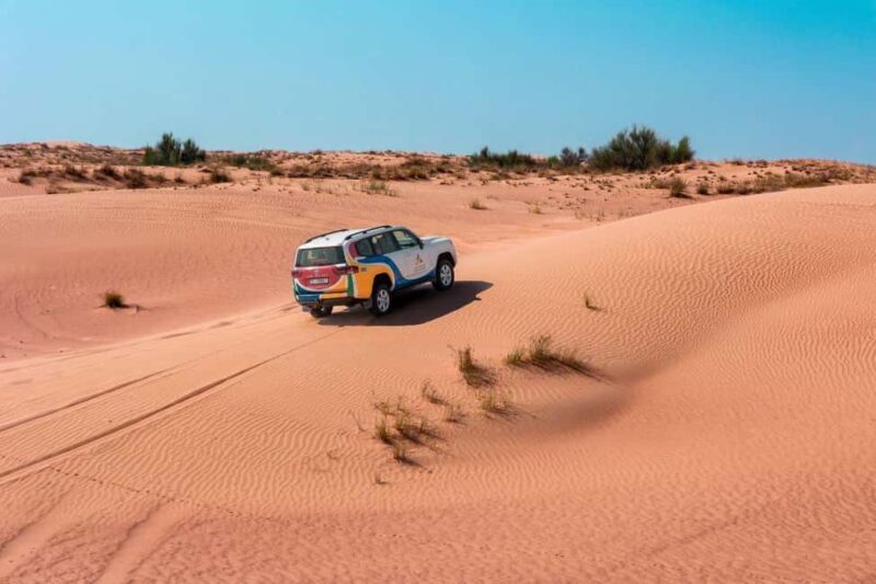 Dubai: Camel Safari, Wildlife & Lakeside Breakfast - Practical Details and What to Expect  