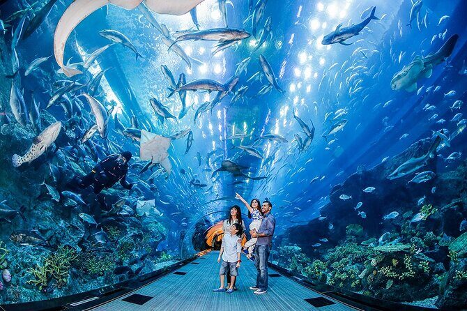 Dubai City Pass: all inclusive Pass with Hop On Hop Off & tours - Final Thoughts
