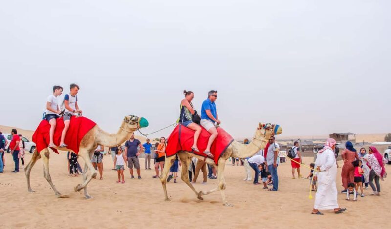 Dubai: City Tour and Desert Experience with Fun Activities - Logistics and Practicalities