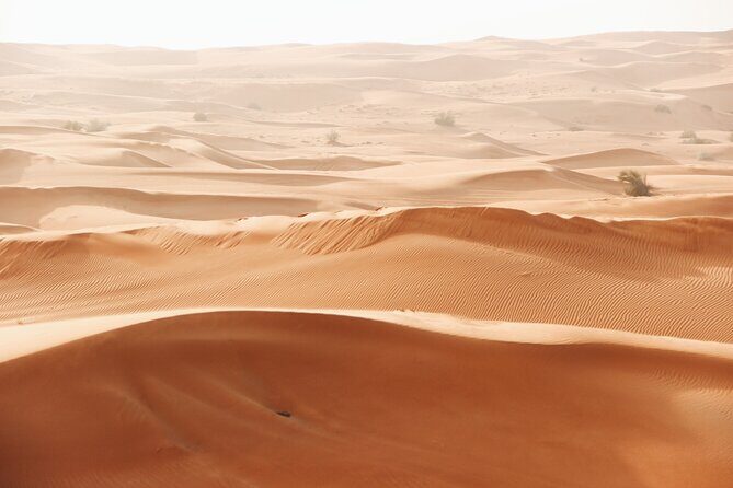 Dubai City tour and Desert Safari Combo with free Arabic scarf - Who Should Book This Tour?