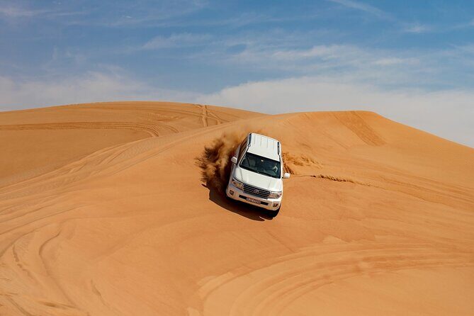Dubai City Tour and Evening Desert Safari Combo - Who Will Love This Tour?  