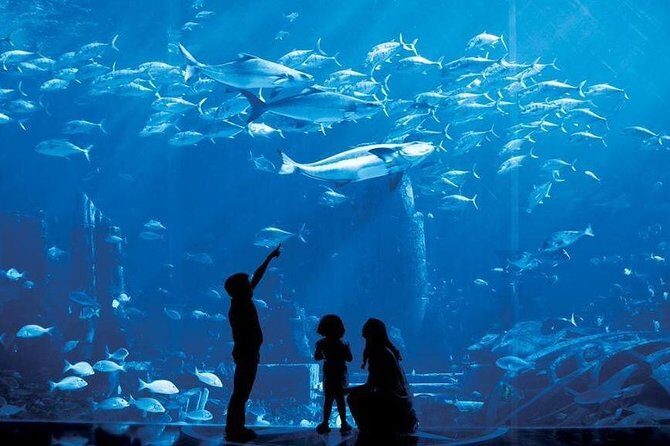Dubai City Tour - Half Day - FAQ