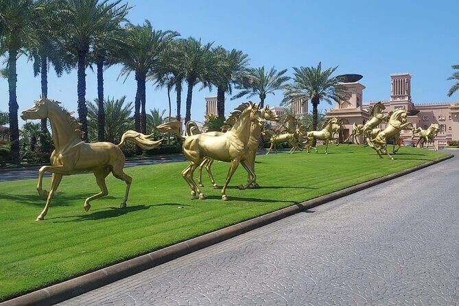 Dubai City Tour (Old & New) Desert Safari, BBQ, Camel Ride, Shows - Practical Tips for Travelers