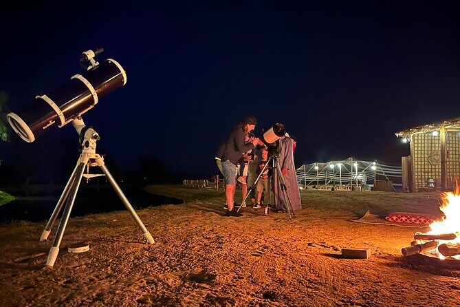 Dubai City Tour with Al Marmoom Desert Dinner and Show - Who Is This Tour Best For?