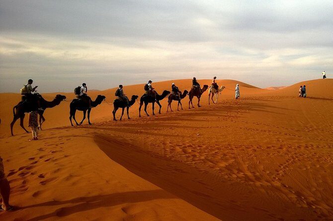 Dubai City Tour with Desert Safari, Camel Ride, Dune Bashing & BBQ - What’s Included and What to Expect