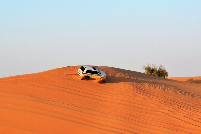 Dubai City Tour with Desert Safari, Camel Ride, Dune Bashing & BBQ - FAQ