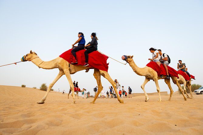 Dubai Combo:City Tour and Premium Desert Safari with all Activities - Key Points