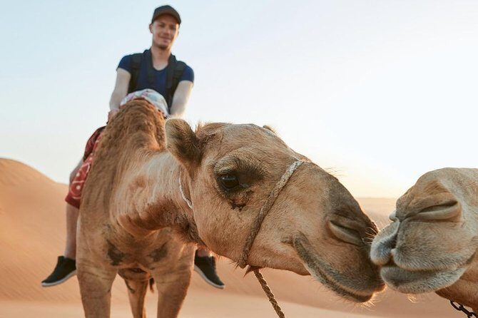 Dubai Desert Adventure: Red Dunes Guided Quad/Polaris ATV & BBQ - Final Words