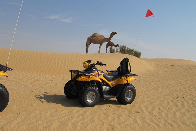 Dubai Desert Afternoon Quad Safari with Camel Ride, BBQ Dinner and Belly Dancing - Note: Remember to bring sunscreen, sunglasses, and comfortable clothing suitable for desert conditions. Book early to secure your spot and prepare for a memorable desert escape in Dubai!