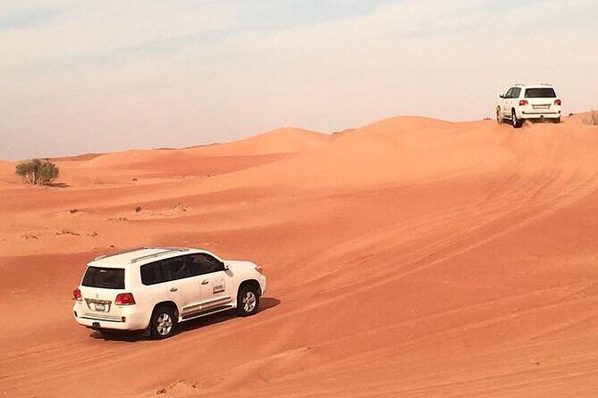 Dubai Desert Afternoon Safari with Camel Ride, BBQ Dinner, and Belly Dancing - Key Points