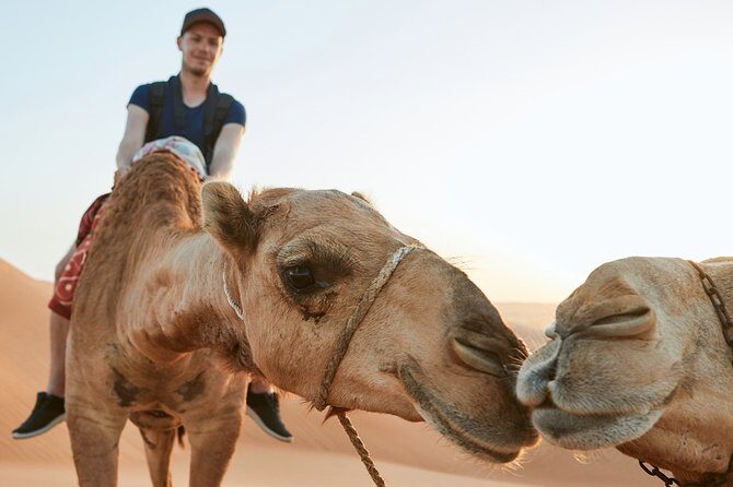 Dubai Desert Bespoke: Red Dunes Safari, Camel Ride & BBQ Options - A detailed look at the Dubai Desert Bespoke tour