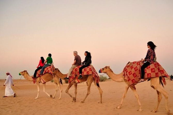 Dubai: Desert Camel Ride with Live Shows & BBQ Buffet Dinner - Exploring the Itinerary in Detail