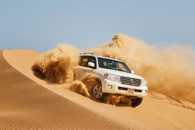 Dubai Desert Escape: Red Dunes Safari, Falcon, Camel & BBQ Dinner - Key Points